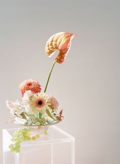 a vase filled with flowers sitting on top of a table