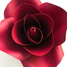 a large red flower on a white background