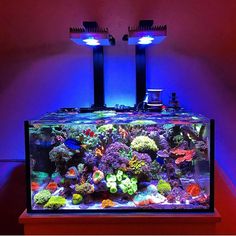 an aquarium is shown with two lights above it