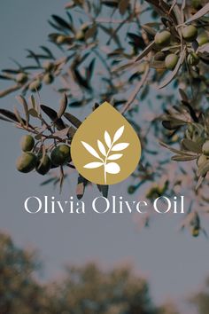 an olive tree with the words olive oil on it