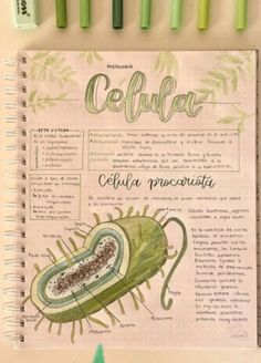 a spiral notebook with an illustration of celluli on it and green pens next to it