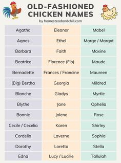 an old fashioned chicken names chart