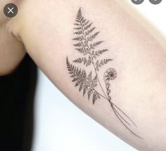 a black and white photo of a fern tattoo on the left upper half of the arm