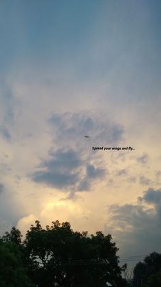 an airplane is flying in the sky above some trees