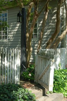 a white picket fence sitting next to a tree