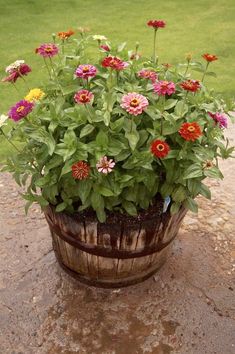 a wooden barrel filled with lots of flowers