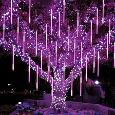 a purple tree with lights hanging from it's branches