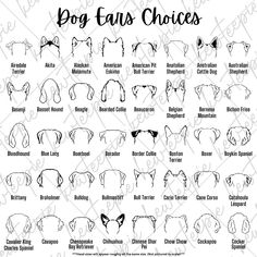 the dog ears and their names