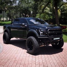 a large black truck parked on top of a brick road next to trees and bushes