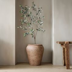 a potted plant sitting on top of a wooden table next to a stool and wall