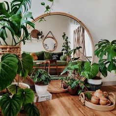 a living room filled with lots of potted plants next to a large round mirror