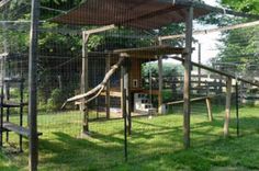 an outdoor play area with a slide and climbing frame