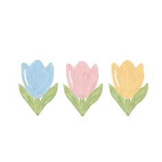 three colored tulips with green leaves in the middle