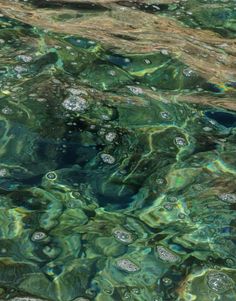 the water is very clear and green with bubbles