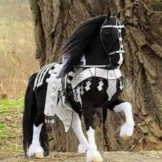 a black and white horse standing next to a tree