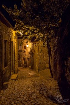 an alley at night with cobblestone streets and trees