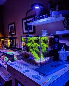 a fish tank with moss in it sitting on top of a table next to other items