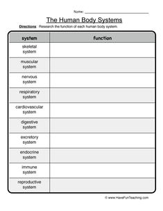 the human body systems worksheet for students to learn and use in their classroom