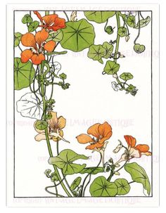 an illustration of flowers and leaves on a white paper with black border around the edges