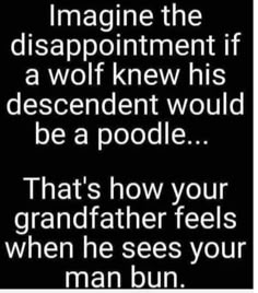 a quote that reads, imagine the disappointment if a wolf knew his descend would be a poodle