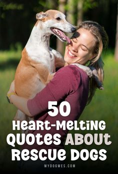 50 Meaningful Rescue Dog Quotes to Make You Smile	50 Heart-Melting Quotes About Our Rescue Dogs Shelter Dog Quotes, Heart Melting Quotes, Friend In Need