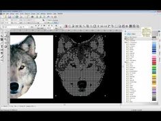 an image of a wolf on a computer screen with color swatches and text added