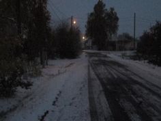 a snowy street at night with no cars on the road and trees in the foreground