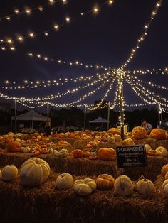 pumpkins and hay bales with lights strung over them