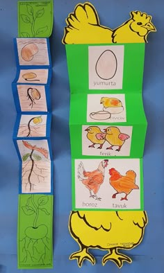 an image of different types of animals and plants in the shape of a bookmark