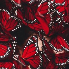 many red butterflies with white dots on them