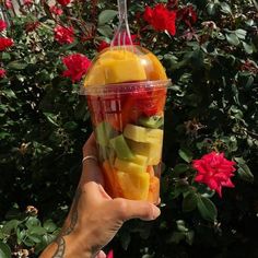 a person holding up a plastic cup filled with fruit