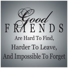 an iphone screen with the text good friends are hard to find, harder to leave, and impossibleible to forget