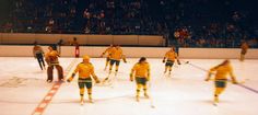 a group of people playing ice hockey on an indoor rink