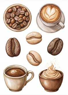 an image of coffees and beans on a white background with watercolor pencils