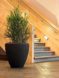 a potted plant sitting on top of a tiled floor next to a stair case