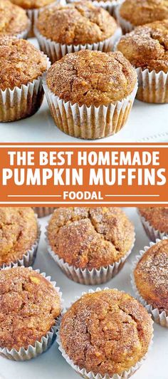 Wake up to the scent of fall with an incredible batch of pumpkin muffins. With sugar and spice, these baked goodies bring a burst of flavor. Pumpkin Pecan Crunch Muffins, Muffins With Pumpkin Puree, Buttermilk Pumpkin Muffins, Pumpkin Walnut Muffins, Muffin Monday, Homemade Pumpkin Muffins, Pumpkin Pie Muffins, Easy Pumpkin Muffins, Yummy Muffins