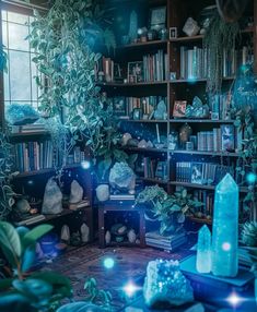 a room filled with lots of books and plants