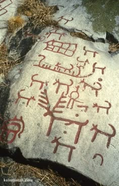 the rock has some writing on it and is sitting in the grass next to other rocks