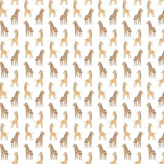 giraffes are standing in the same pattern on a white background with brown spots