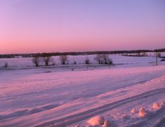 a snow covered field at sunset with trees in the distance