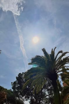 the sun shines brightly behind palm trees in front of a blue sky with wispy clouds