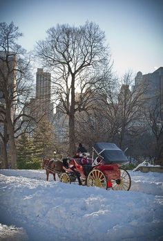 a horse drawn carriage traveling down a snow covered street next to tall buildings and trees