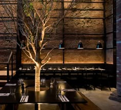 a tree in the middle of a restaurant with no leaves on it and empty tables