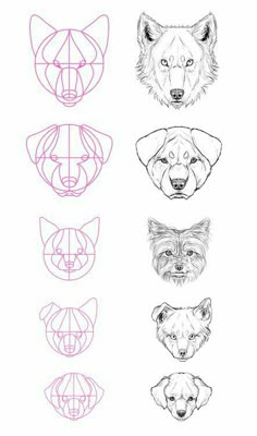 four different types of animals'heads drawn in pink and black ink on white paper