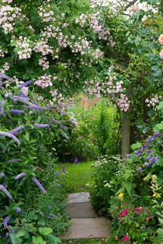 a garden with lots of flowers and trees