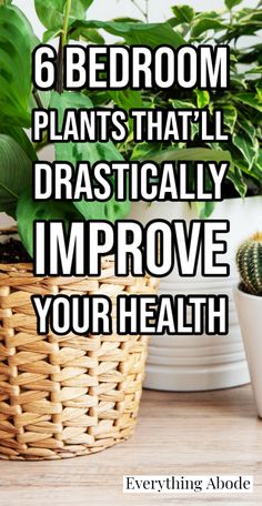 a basket filled with plants and the words 6 bedroom plants that'll dramatically improve your health