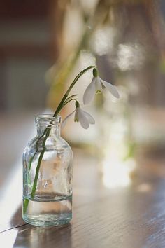 a small glass vase with some flowers in it