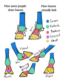 how to draw shoes with different colors and shapes