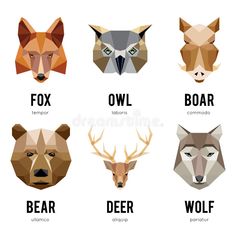 the different types of animals that can be found in each animal's head and body