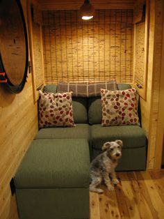 a dog sitting on the floor in front of a green couch with pillows and a mirror